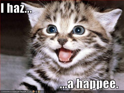 [Image: happy-kitten.jpg]