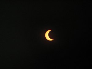 Eclipse through solar viewer