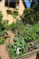 Raised vegetable beds in a delightful kitchen garden