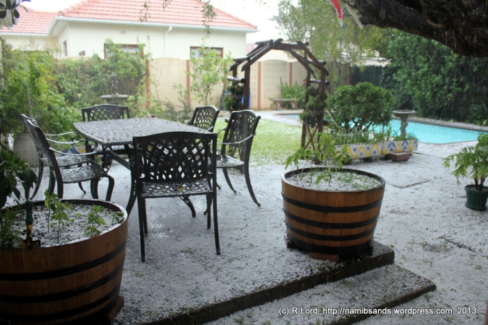 Our backyard is almost white with hailstones